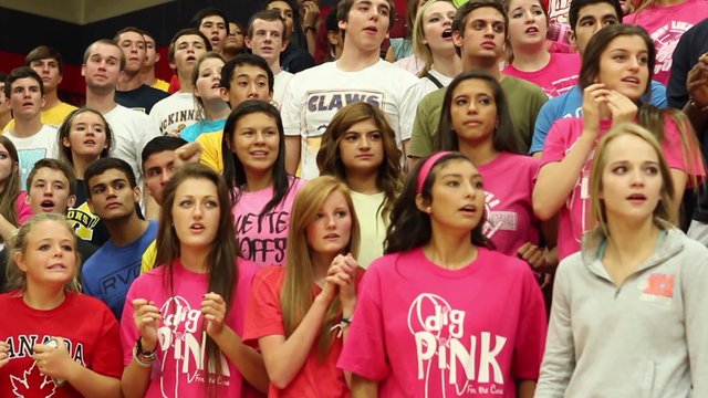 Lady Broncos defeat Lionettes in Dig Pink volleyball game
