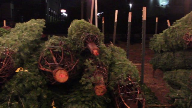 Christmas Traditions tree lot sends Trees to Troops
