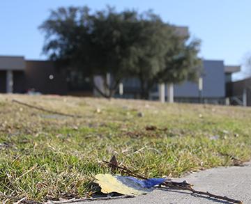 Painted spots destroy visual appeal of campus