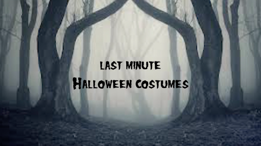 Last+minute+Halloween+costumes