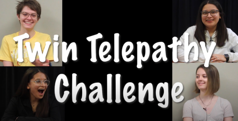 Twin Telepathy Challenge