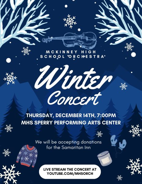 Orchestra to host winter concert